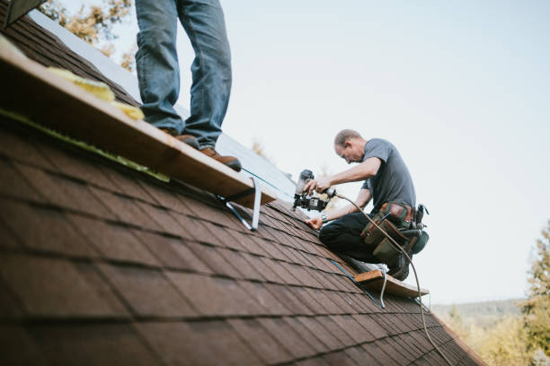 Best Gutter Installation and Roofing  in Hoschton, GA